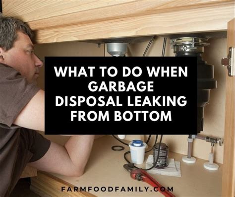 why is the bottom of my garbage disposal leaking|How to Fix a Leaking Garbage Disposal